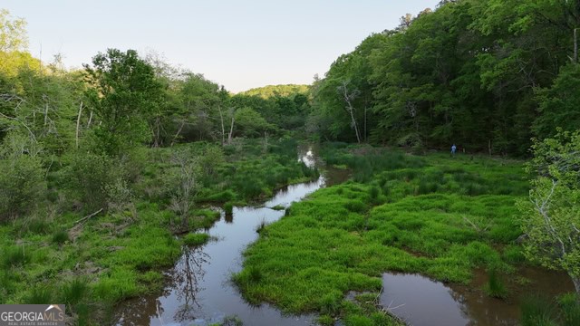 Pickens Creek Tract – 42 acres in Elbert County, GA