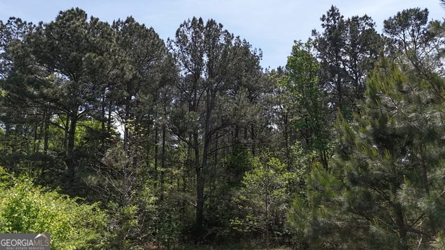 Pickens Creek Tract – 42 acres in Elbert County, GA