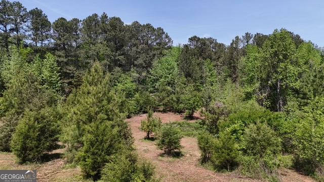 Pickens Creek Tract – 42 acres in Elbert County, GA