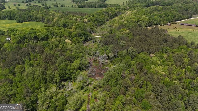 Pickens Creek Tract – 42 acres in Elbert County, GA