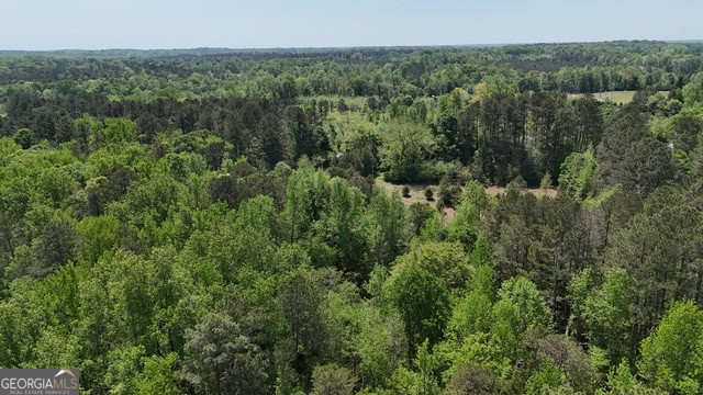 Pickens Creek Tract – 42 acres in Elbert County, GA