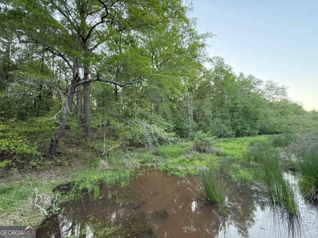 Pickens Creek Tract – 42 acres in Elbert County, GA