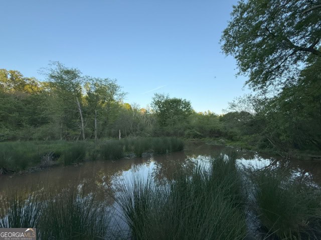 Pickens Creek Tract – 42 acres in Elbert County, GA