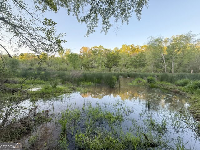 Pickens Creek Tract – 42 acres in Elbert County, GA