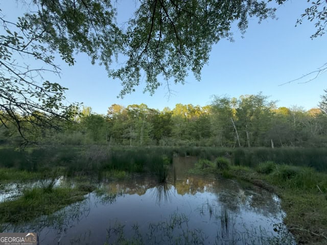 Pickens Creek Tract – 42 acres in Elbert County, GA