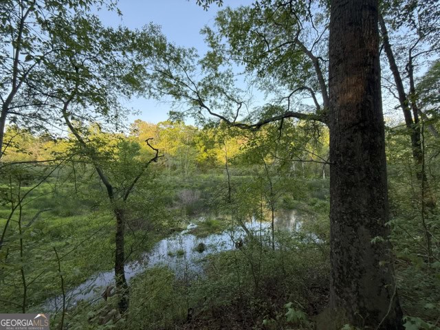 Pickens Creek Tract – 42 acres in Elbert County, GA