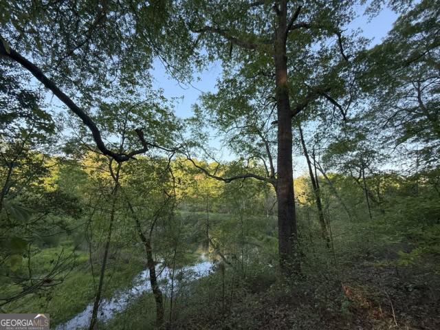 Pickens Creek Tract – 42 acres in Elbert County, GA