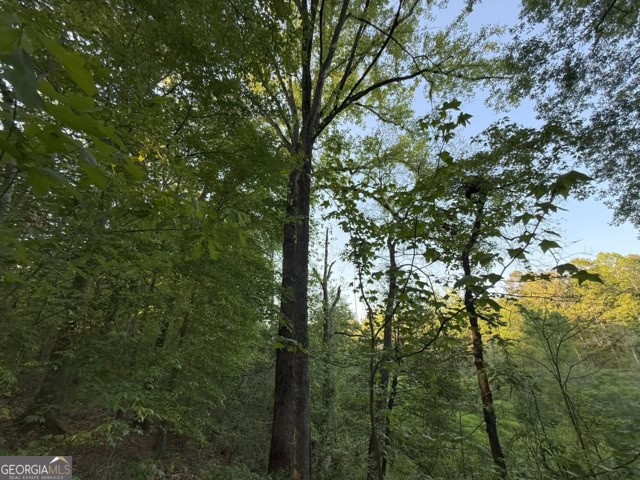 Pickens Creek Tract – 42 acres in Elbert County, GA