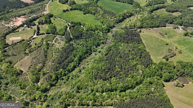 Pickens Creek Tract – 42 acres in Elbert County, GA