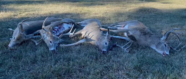 118 acre Delta County Hunting Retreat