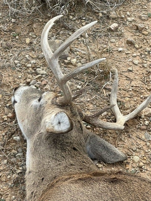 118 acre Delta County Hunting Retreat
