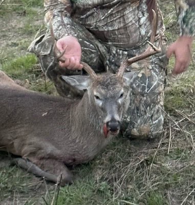 118 acre Delta County Hunting Retreat