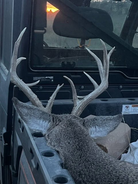 118 acre Delta County Hunting Retreat