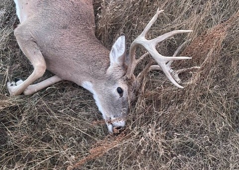 118 acre Delta County Hunting Retreat