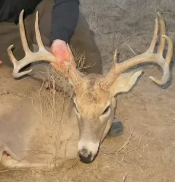 118 acre Delta County Hunting Retreat