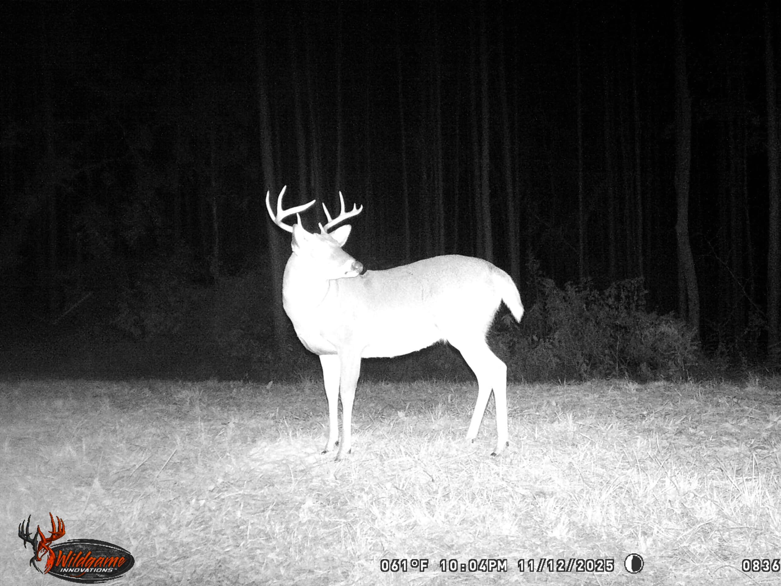 Deer and Turkey Property in Pike County, MS