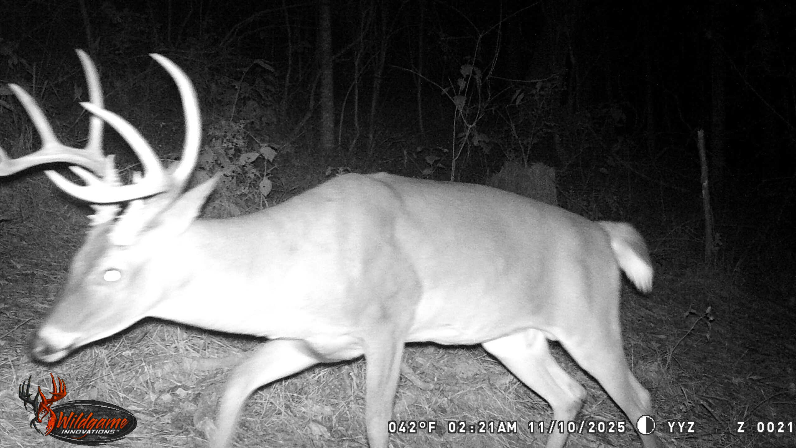 Deer and Turkey Property in Pike County, MS