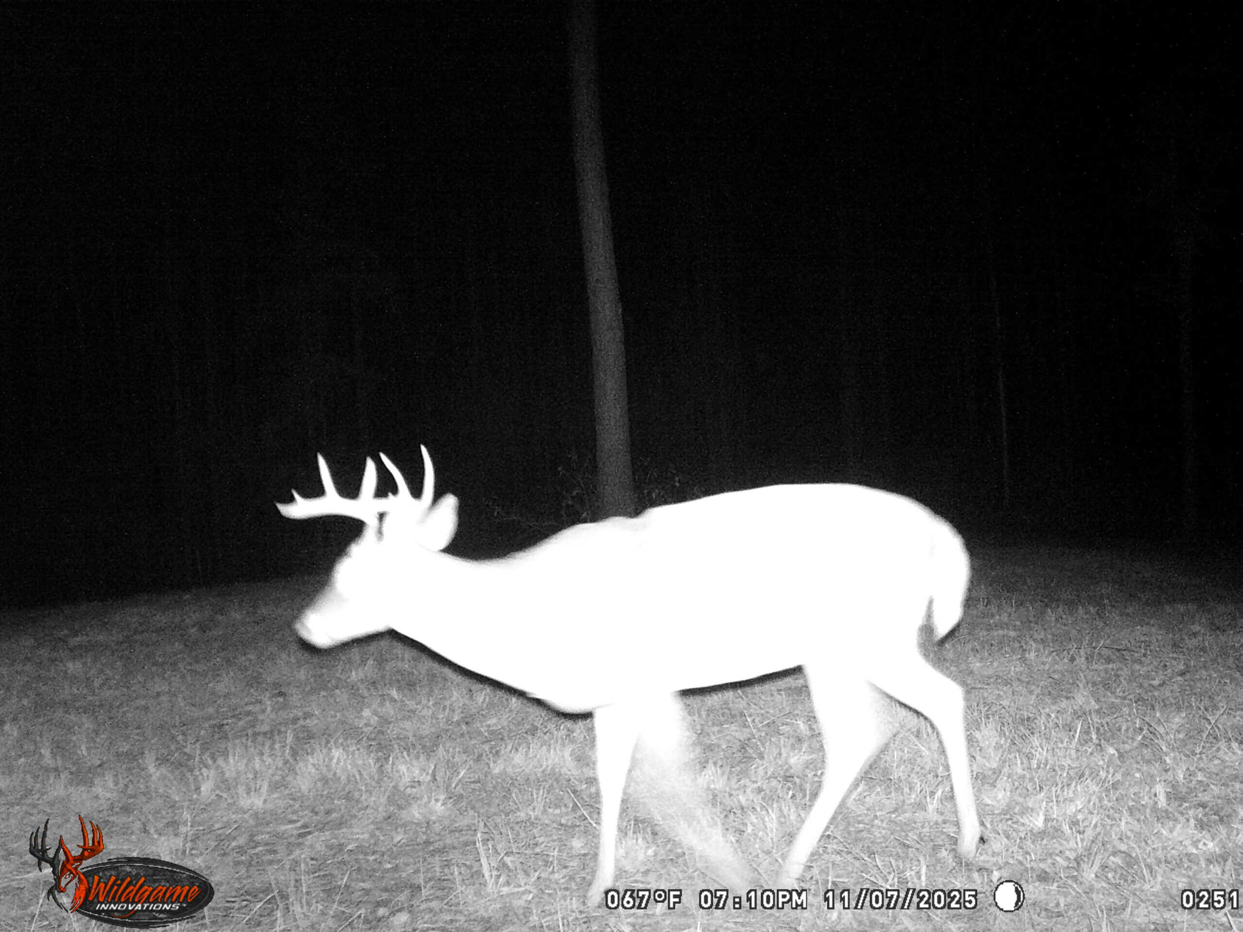 Deer and Turkey Property in Pike County, MS