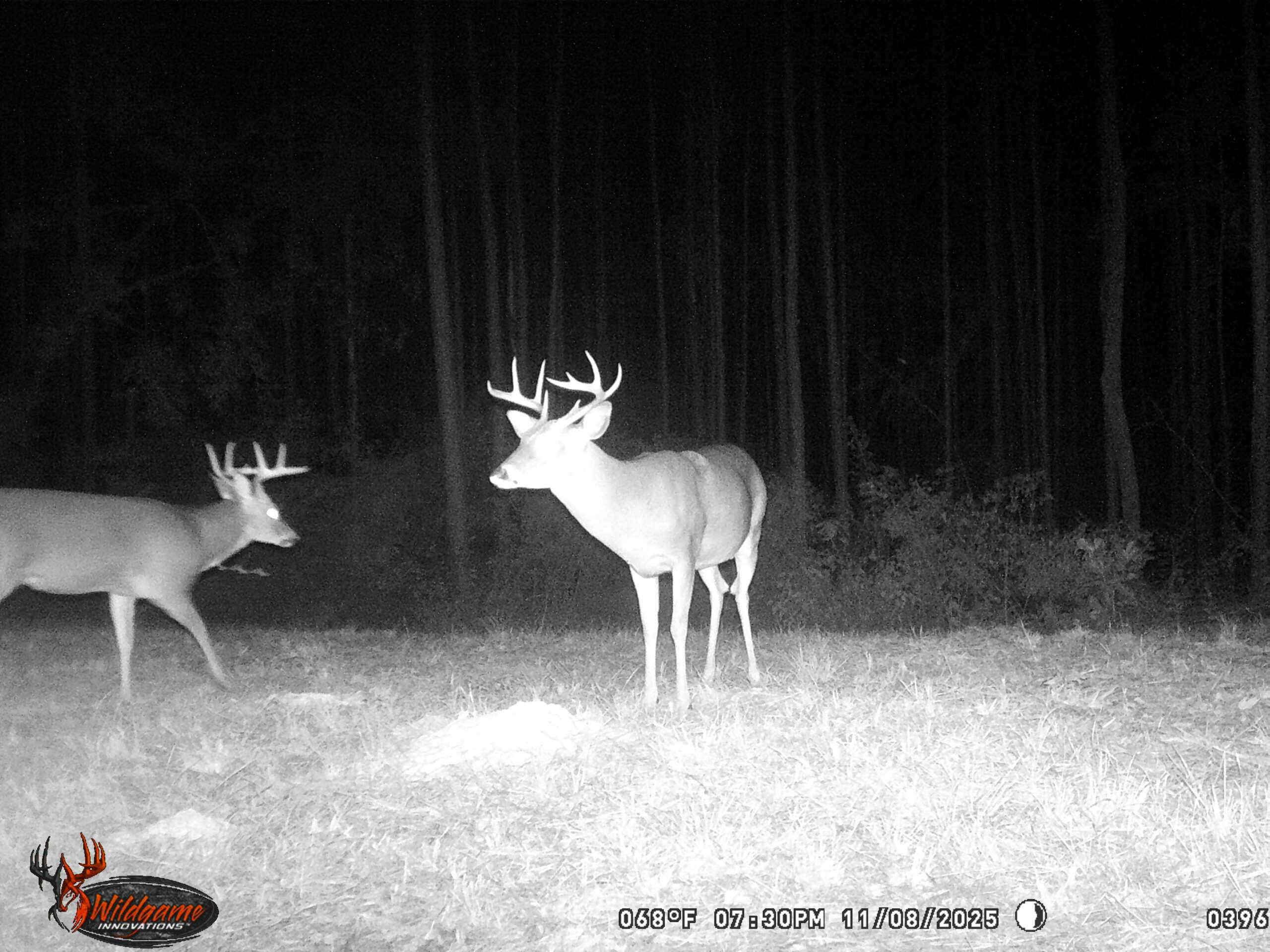 Deer and Turkey Property in Pike County, MS
