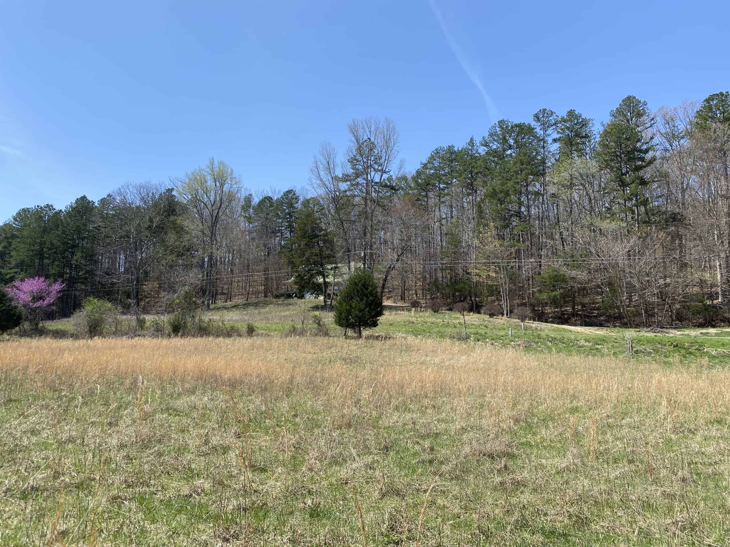RENOVATED HOME ON 40 ACRES FOR SALE IN HARDIN COUNTY, TN