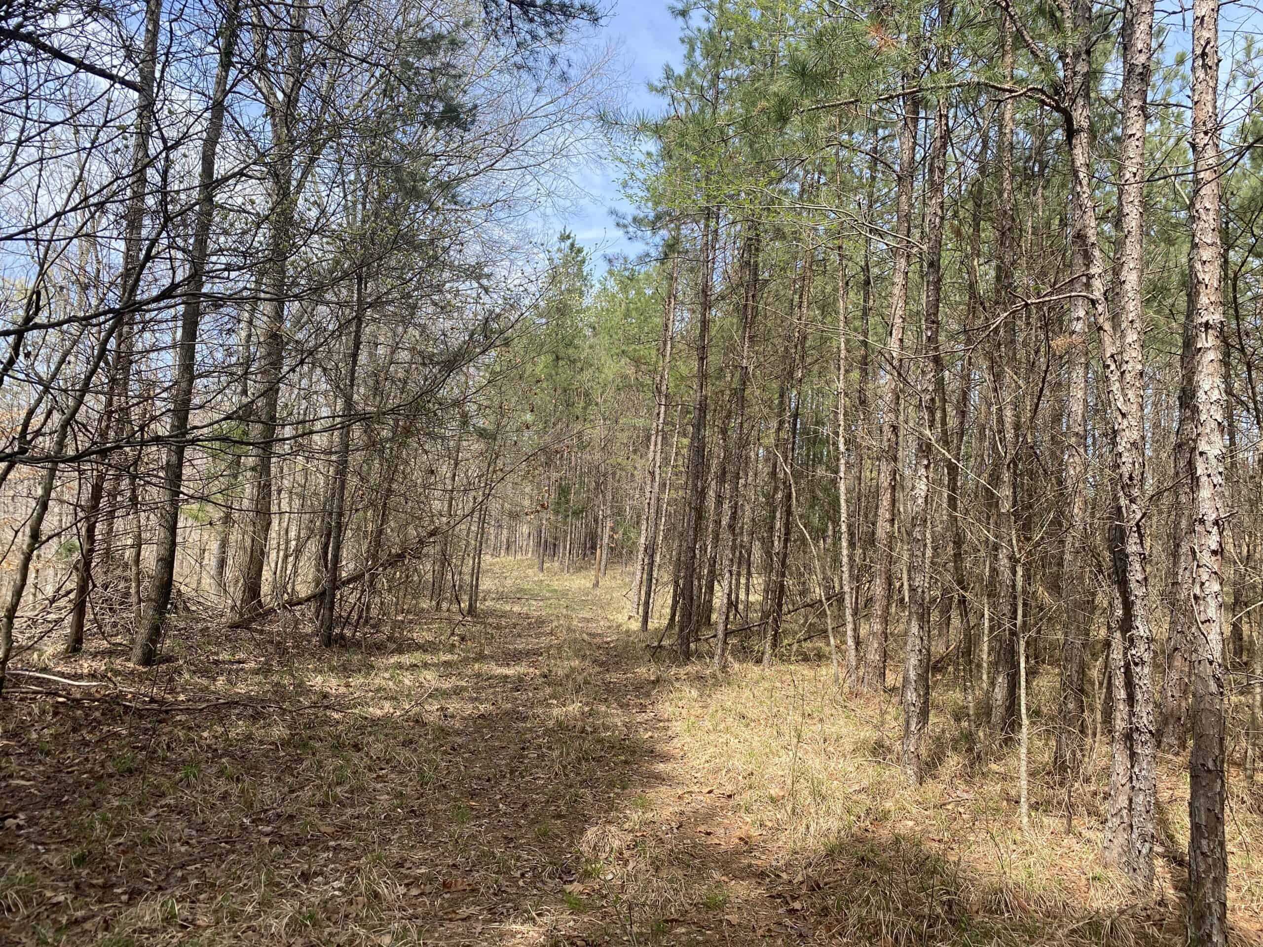 RENOVATED HOME ON 40 ACRES FOR SALE IN HARDIN COUNTY, TN