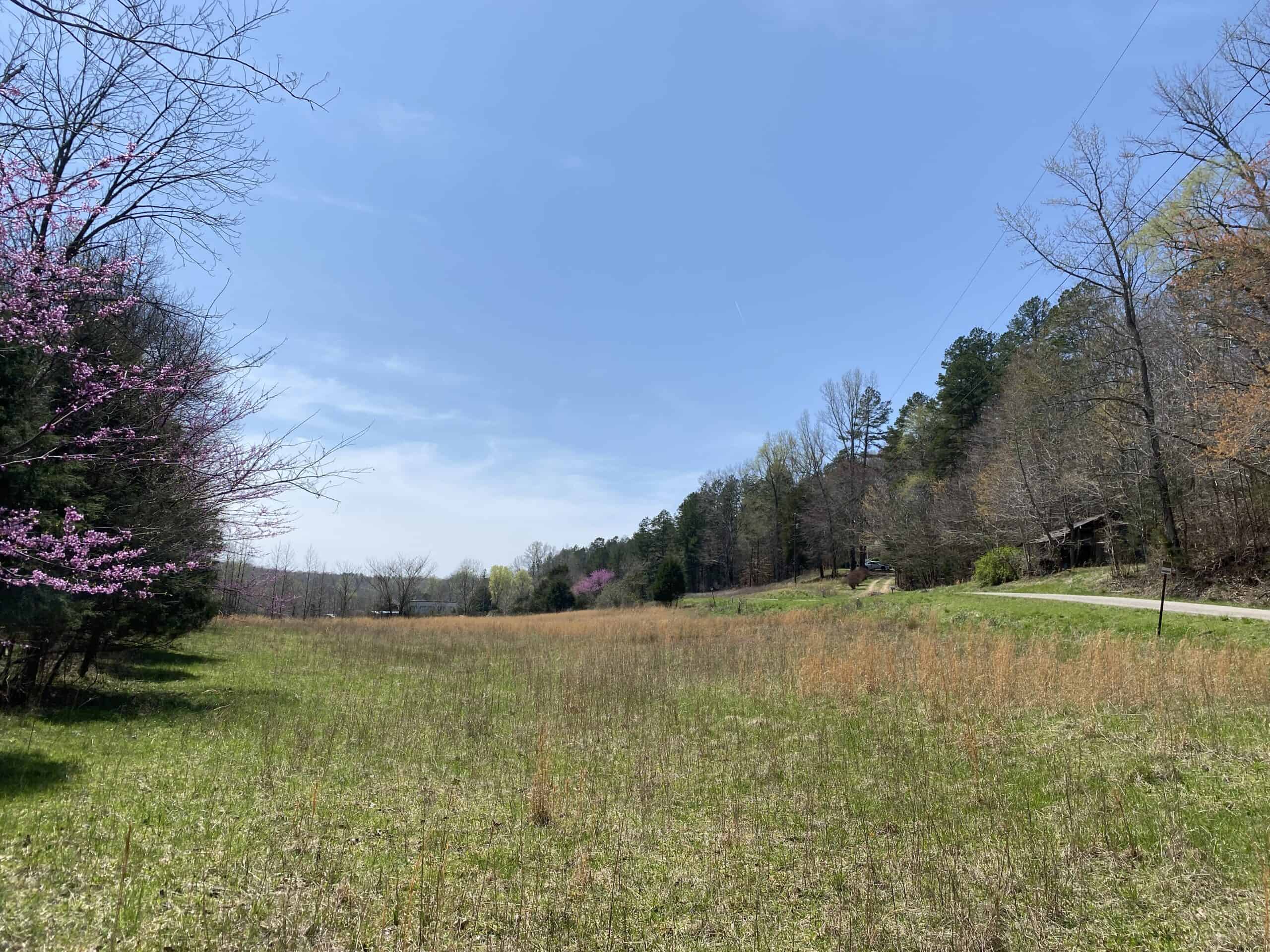 RENOVATED HOME ON 40 ACRES FOR SALE IN HARDIN COUNTY, TN