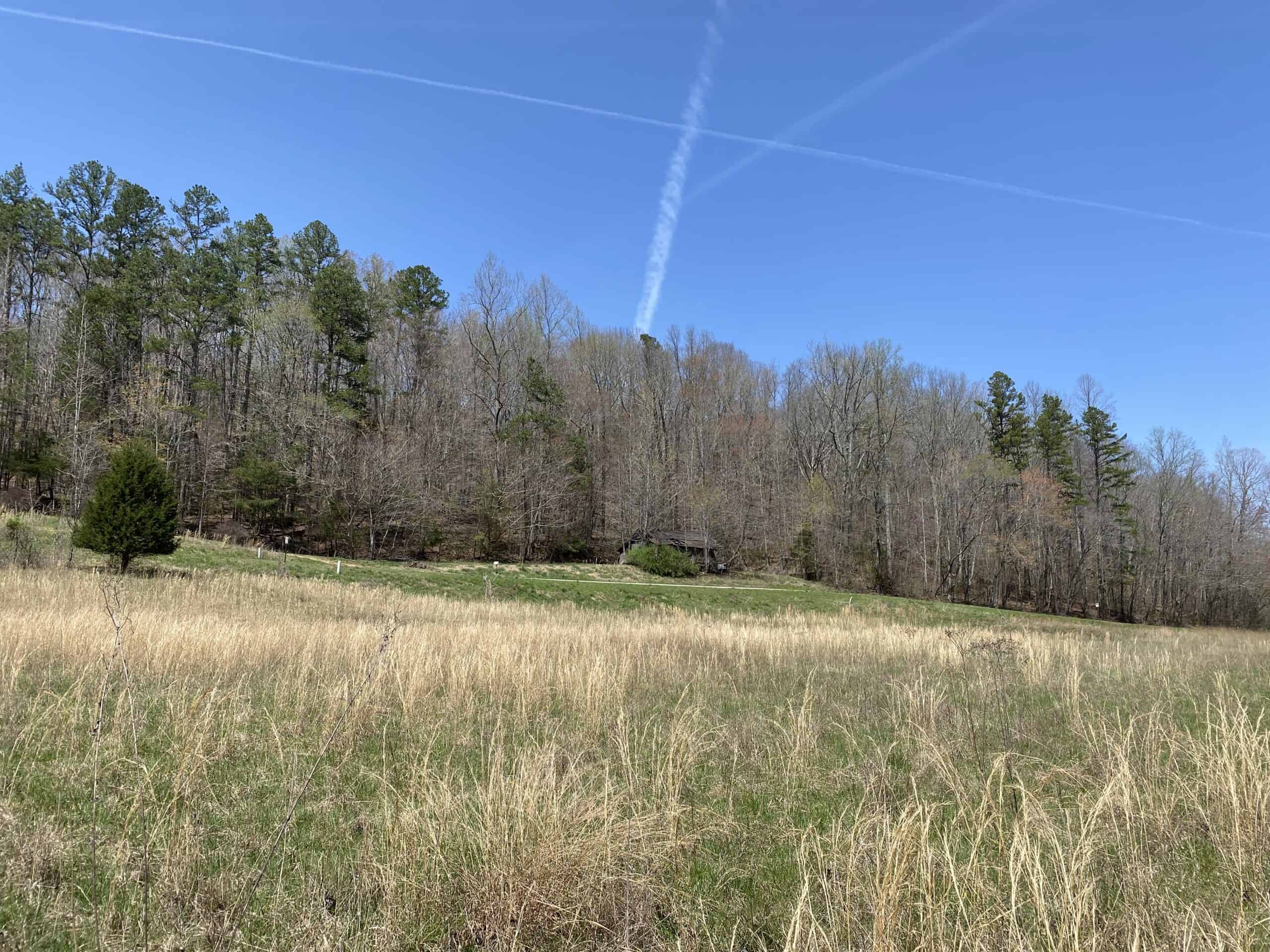 RENOVATED HOME ON 40 ACRES FOR SALE IN HARDIN COUNTY, TN
