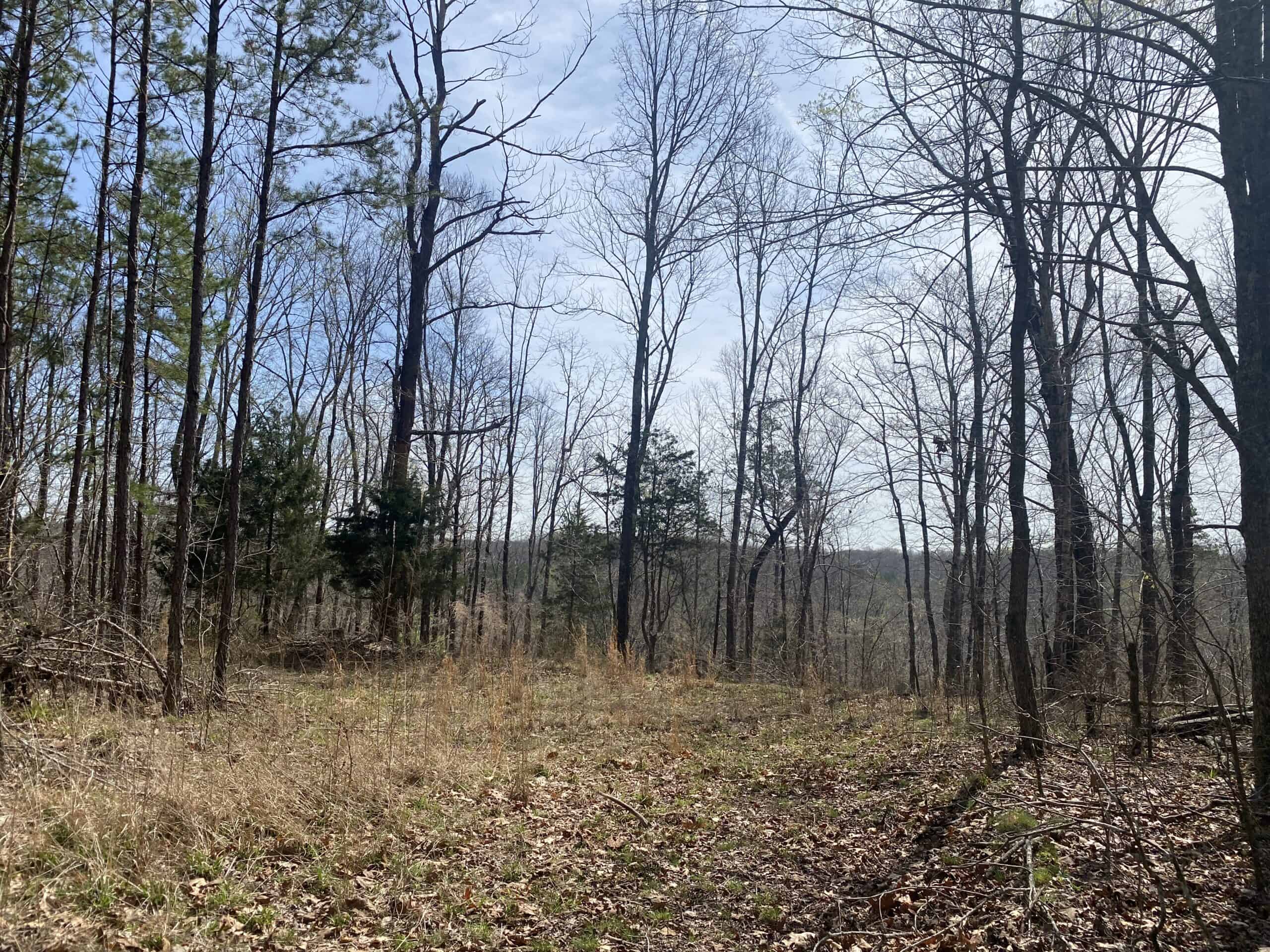 RENOVATED HOME ON 40 ACRES FOR SALE IN HARDIN COUNTY, TN