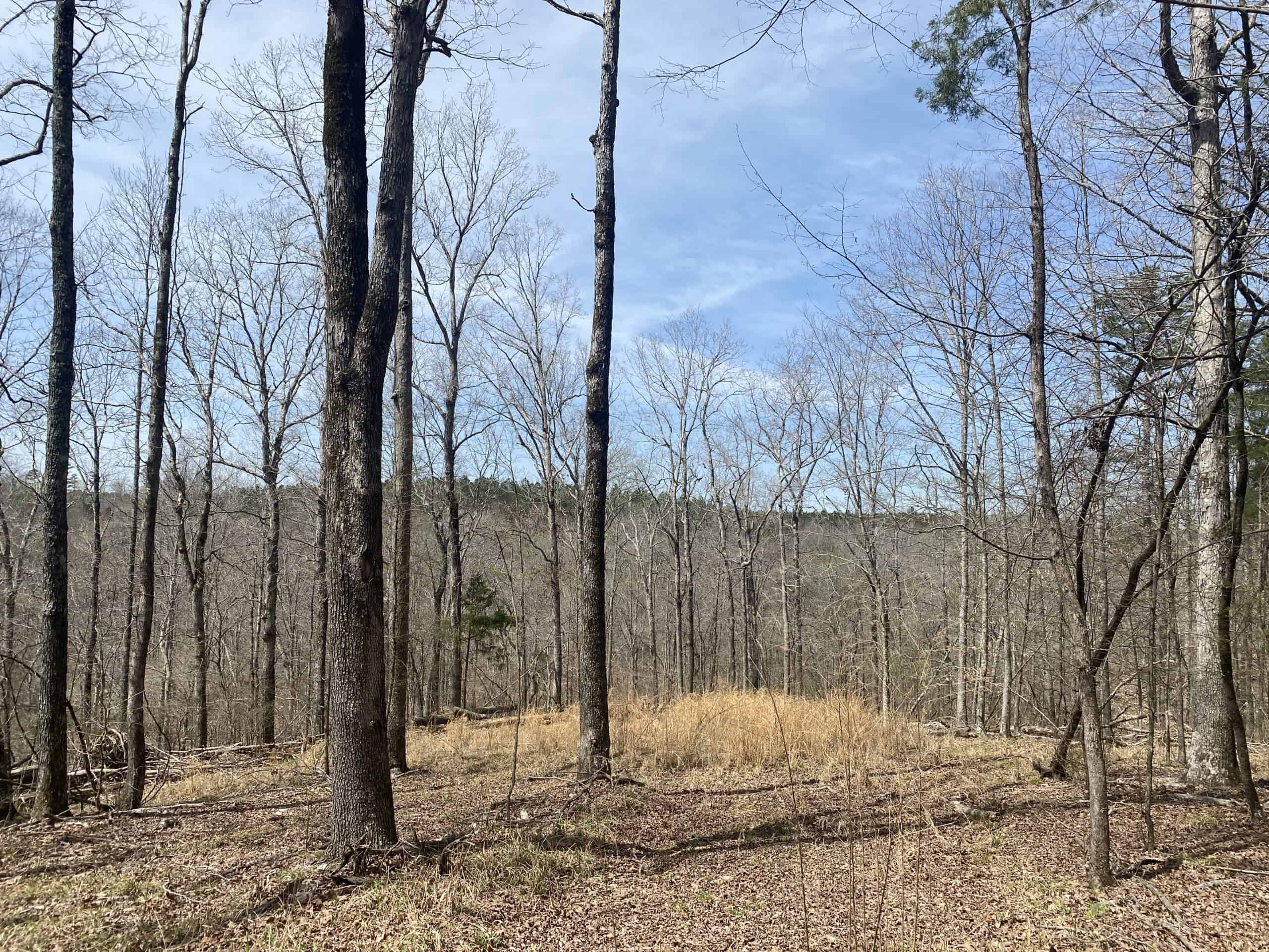 RENOVATED HOME ON 40 ACRES FOR SALE IN HARDIN COUNTY, TN