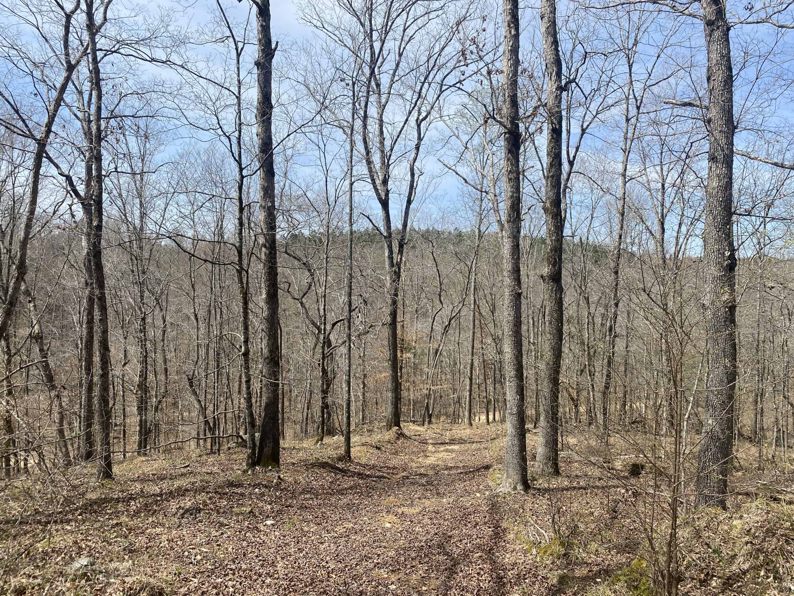 RENOVATED HOME ON 40 ACRES FOR SALE IN HARDIN COUNTY, TN
