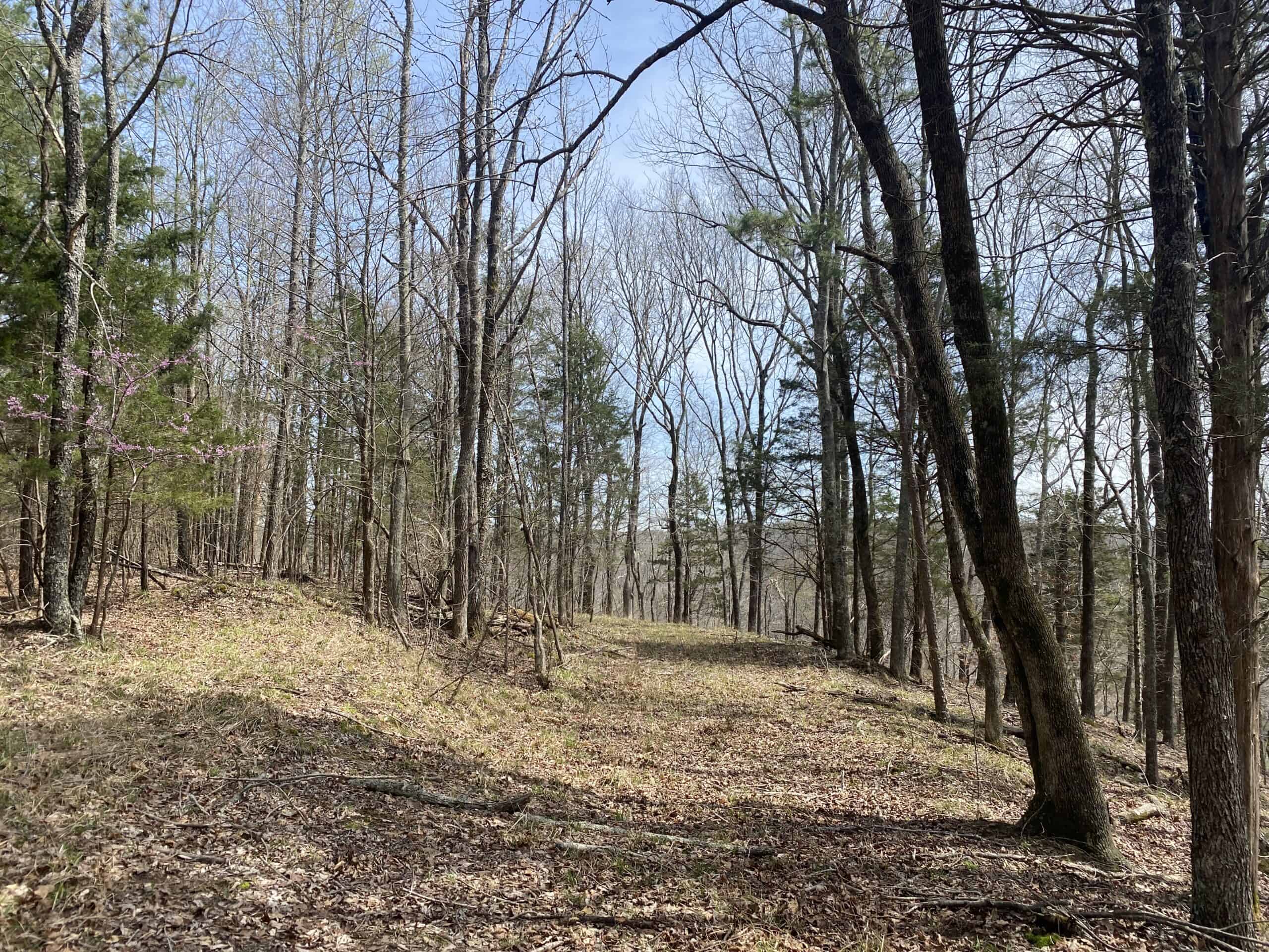 RENOVATED HOME ON 40 ACRES FOR SALE IN HARDIN COUNTY, TN