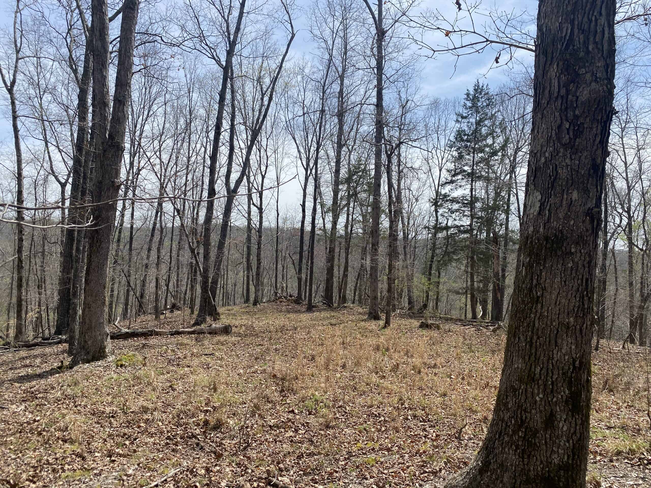 RENOVATED HOME ON 40 ACRES FOR SALE IN HARDIN COUNTY, TN