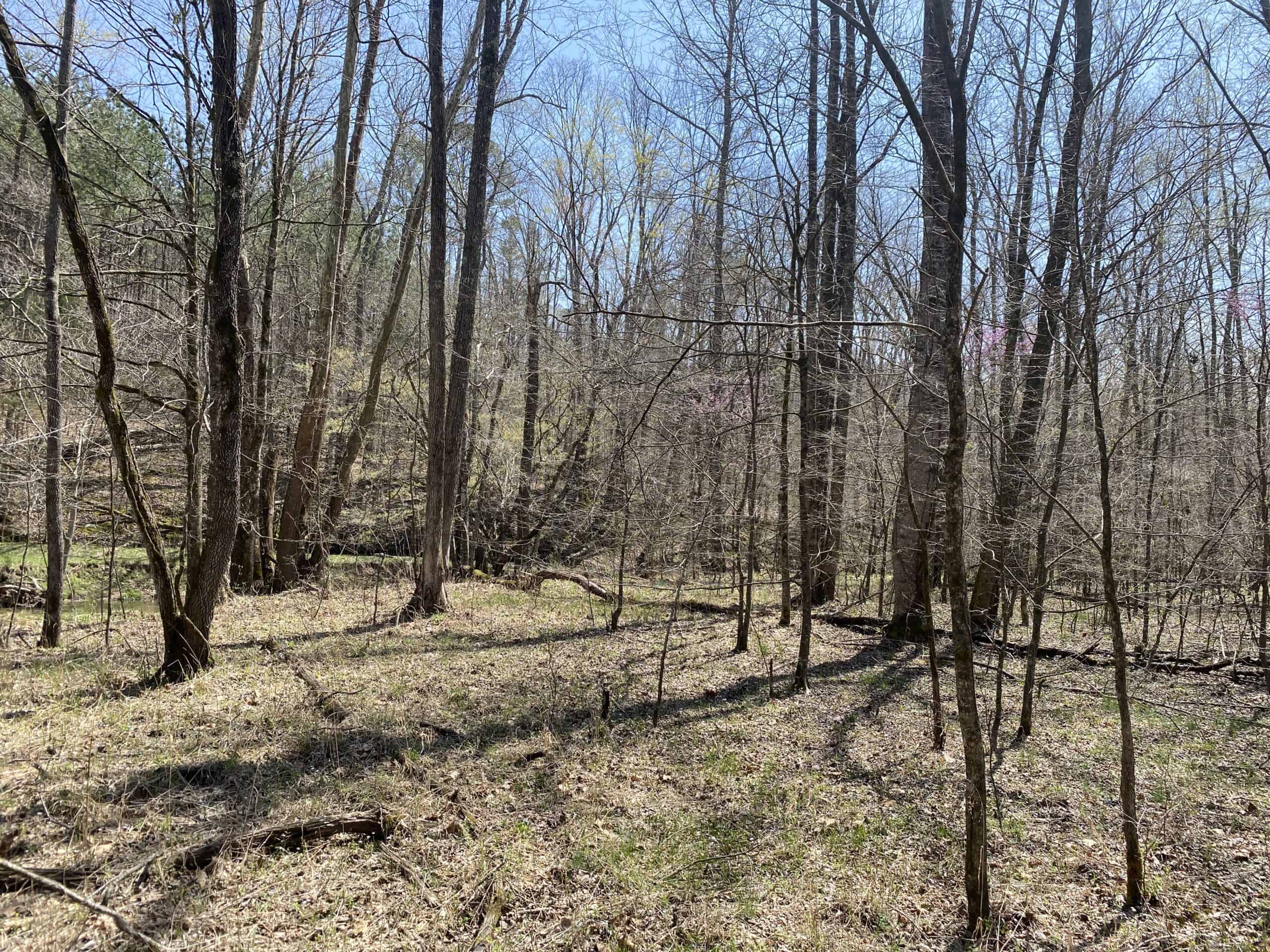 RENOVATED HOME ON 40 ACRES FOR SALE IN HARDIN COUNTY, TN
