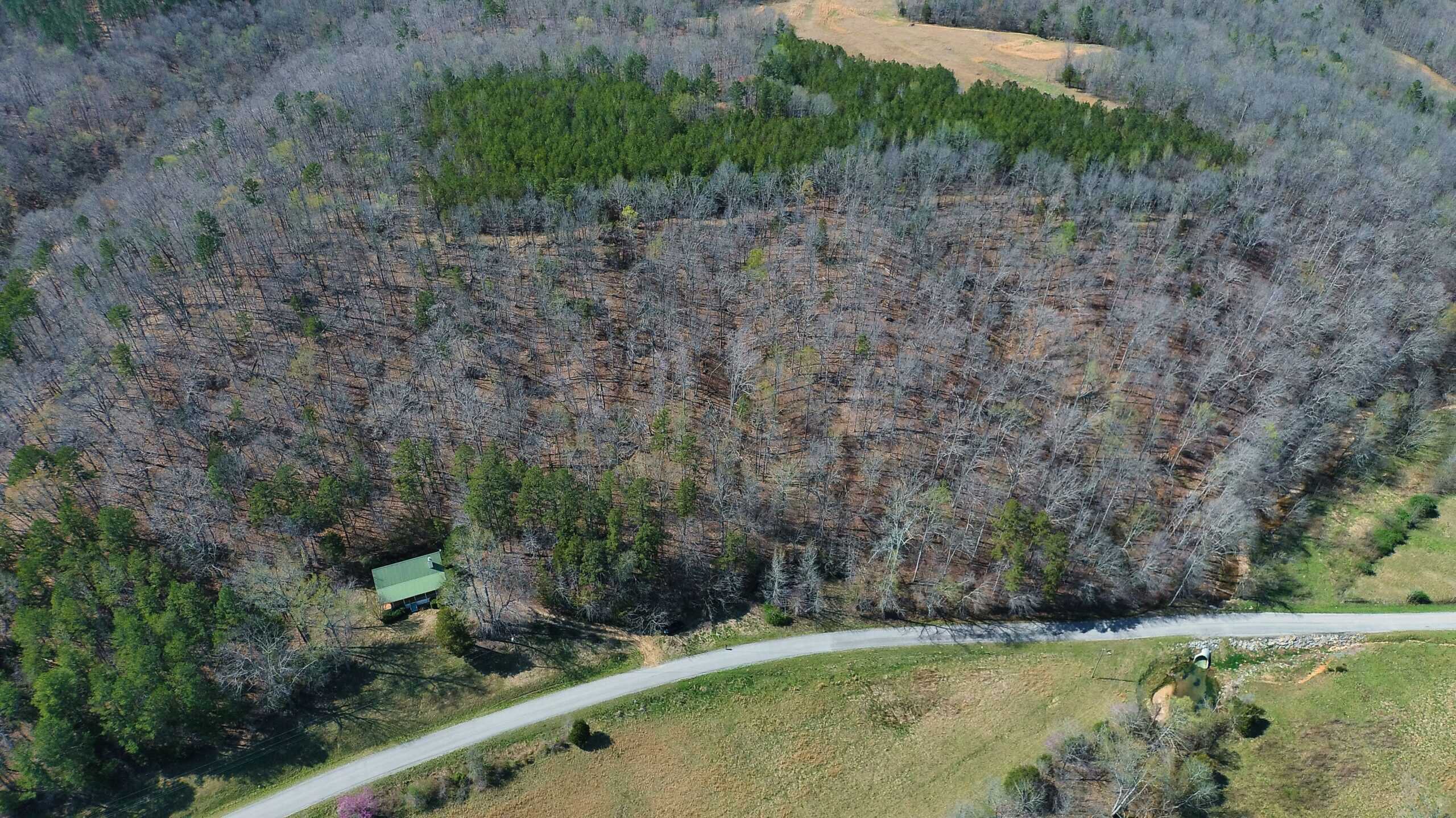 RENOVATED HOME ON 40 ACRES FOR SALE IN HARDIN COUNTY, TN