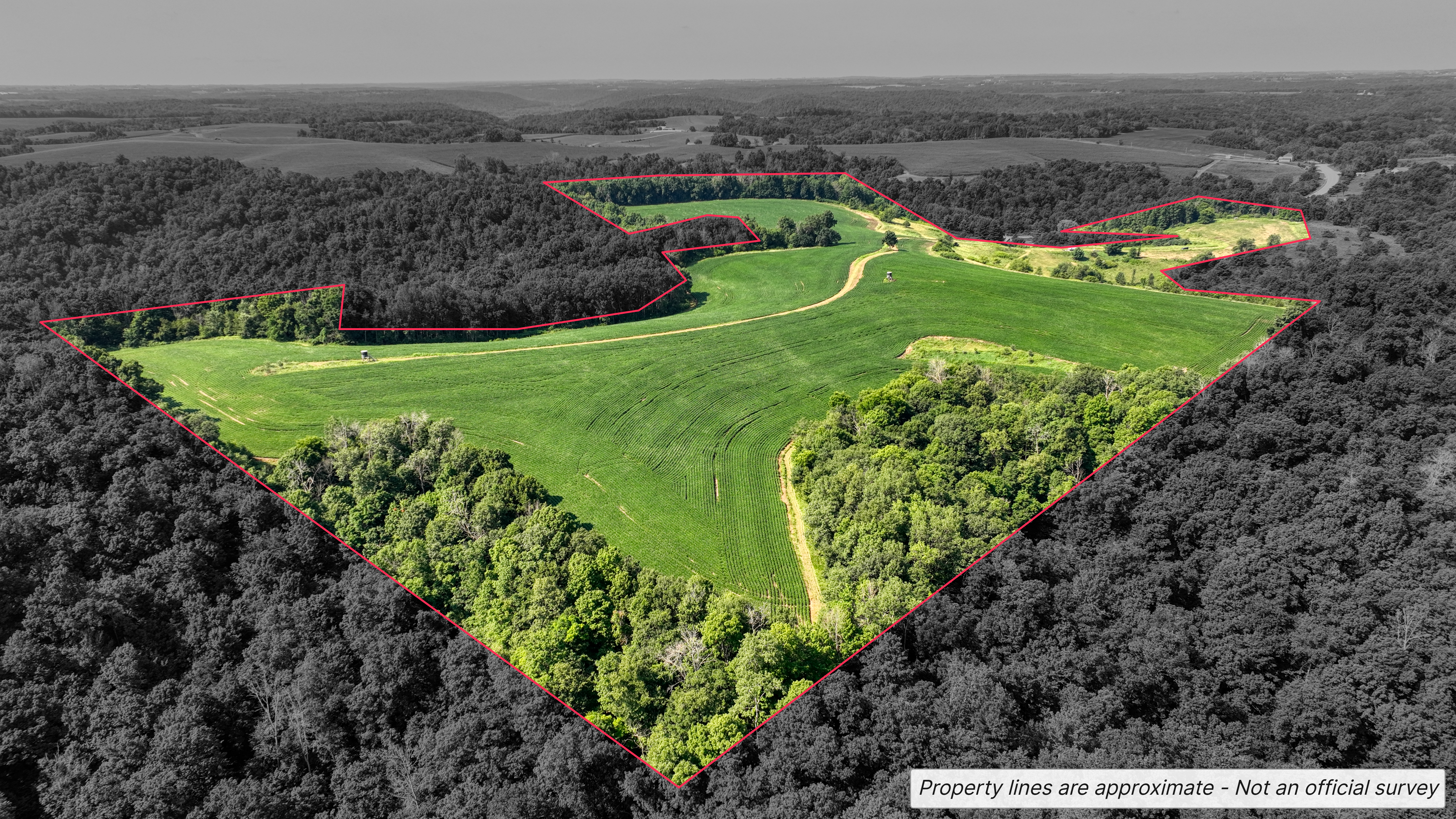 65-acre trophy whitetail and turkey hotspot