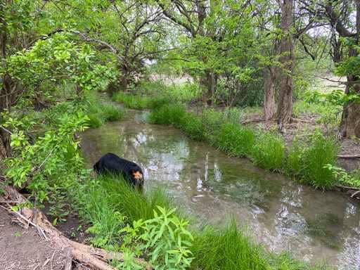 51.01 Acres for Sale in Gatesville, TX – Gated Entrance, Pond, and Stunning Views