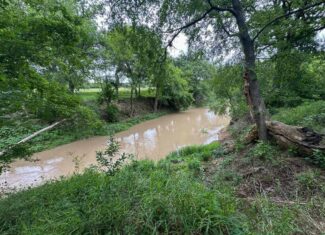 32-Acre Live Water Property with Leon River Frontage in Gatesville, TX