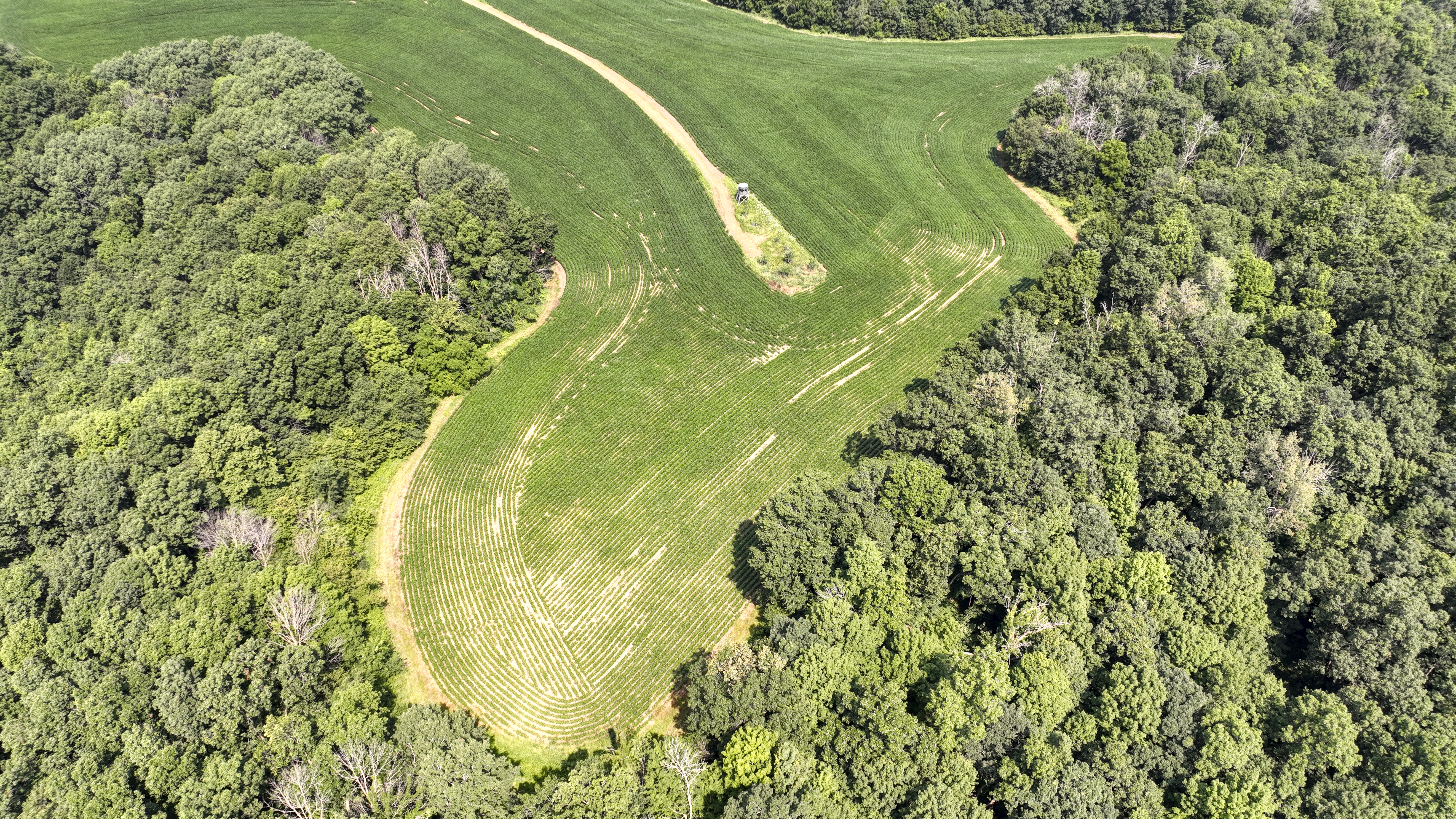 65-acre trophy whitetail and turkey hotspot