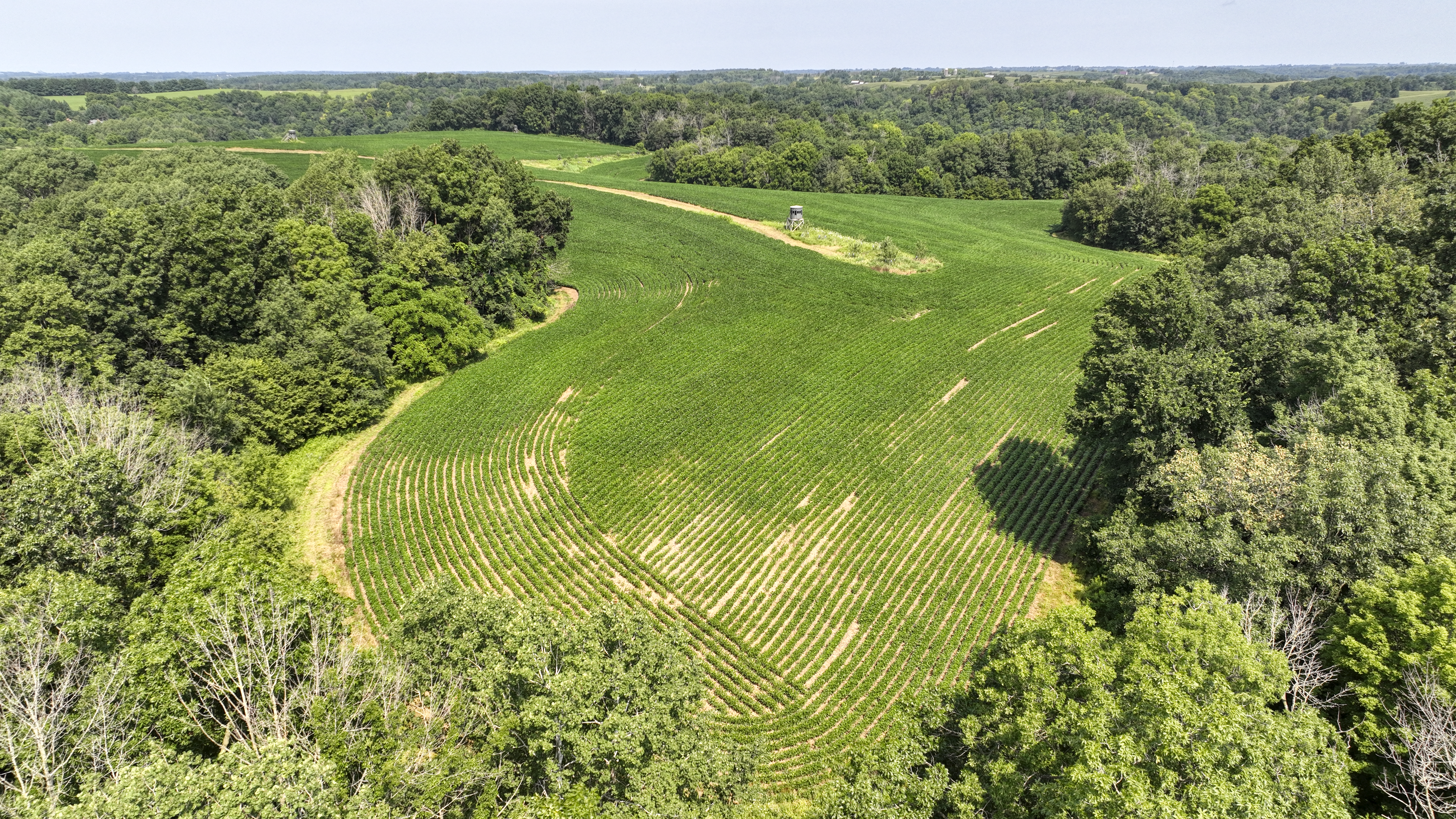 65-acre trophy whitetail and turkey hotspot