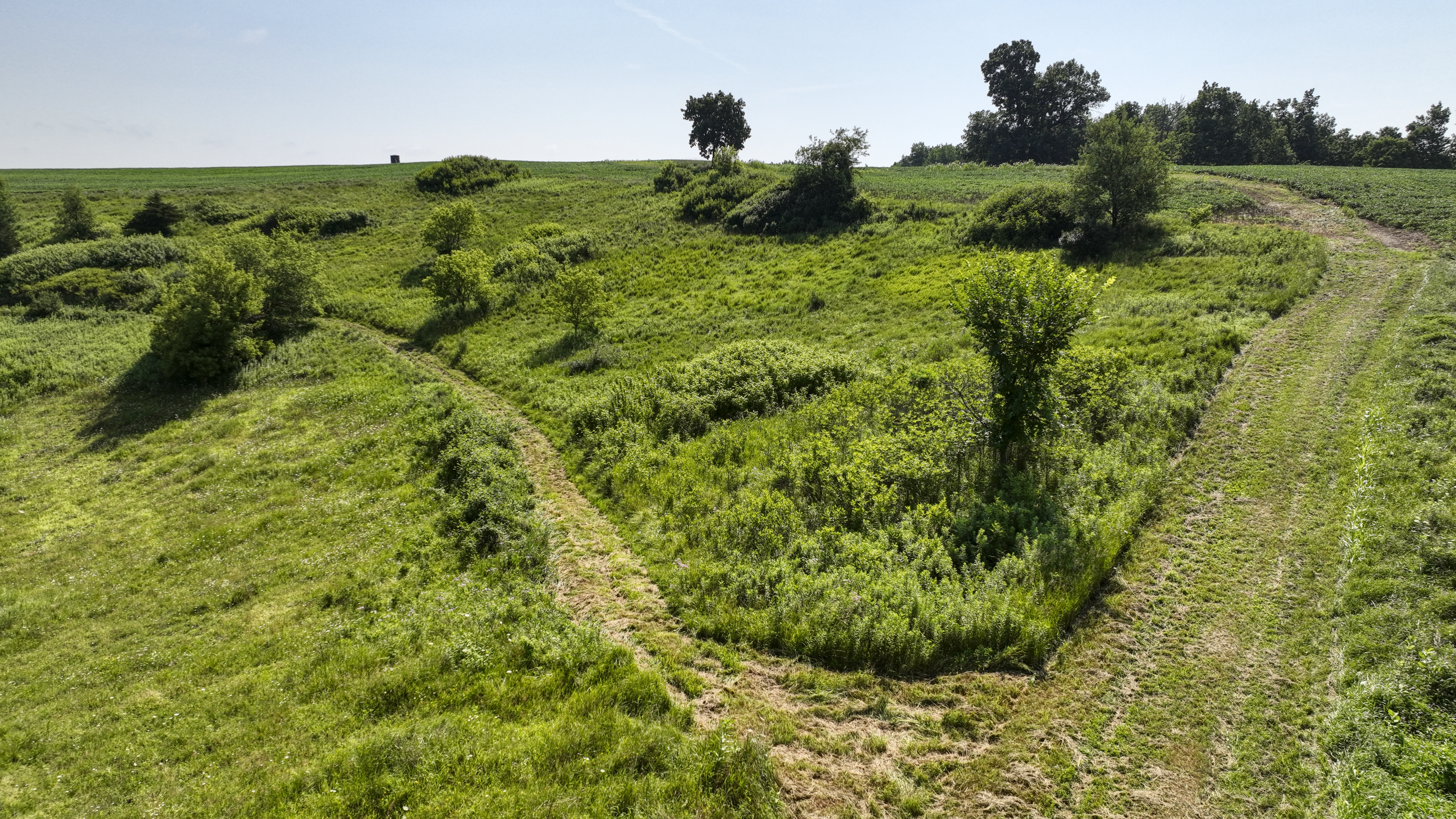 65-acre trophy whitetail and turkey hotspot