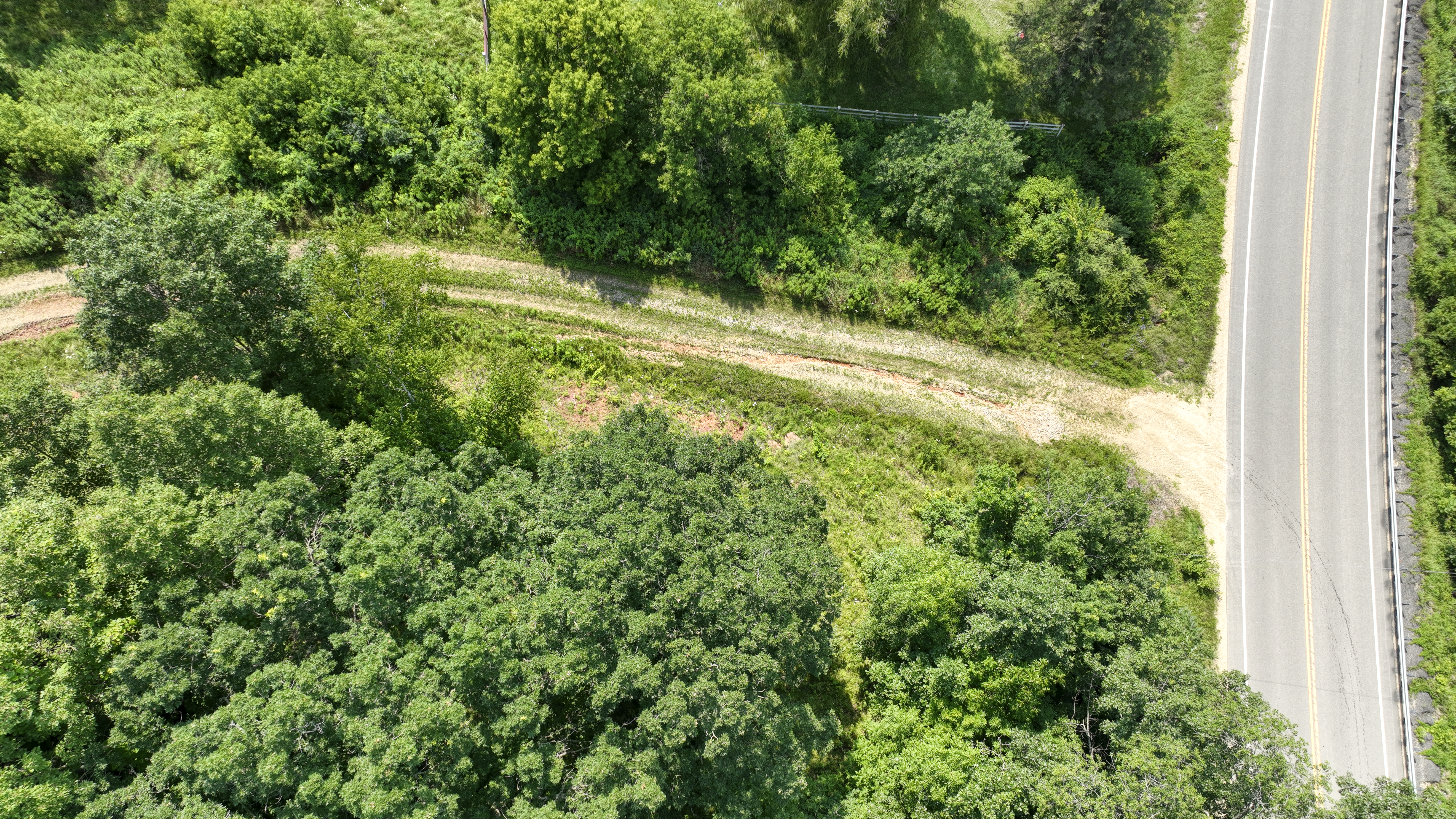 65-acre trophy whitetail and turkey hotspot