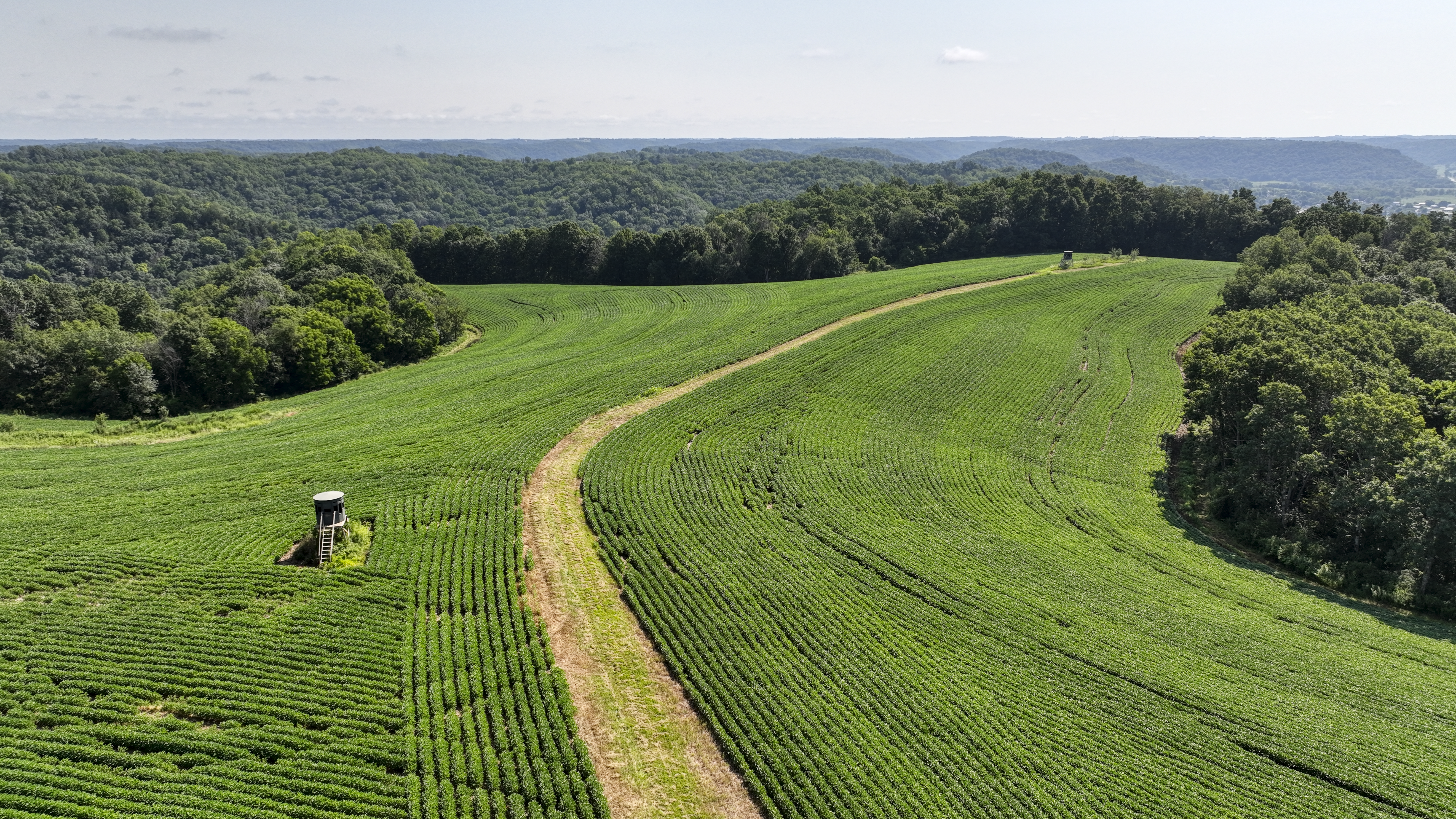 65-acre trophy whitetail and turkey hotspot