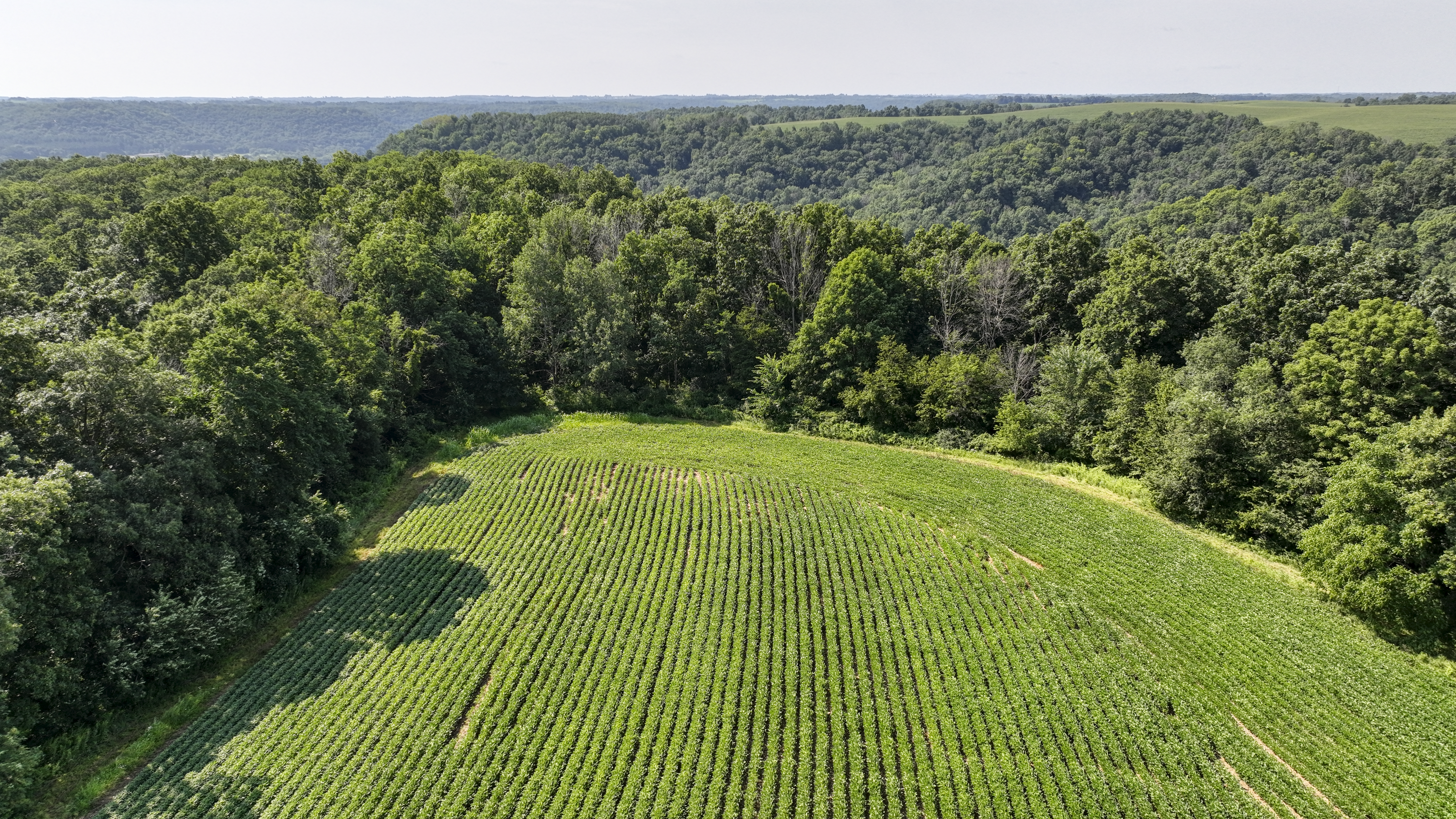 65-acre trophy whitetail and turkey hotspot