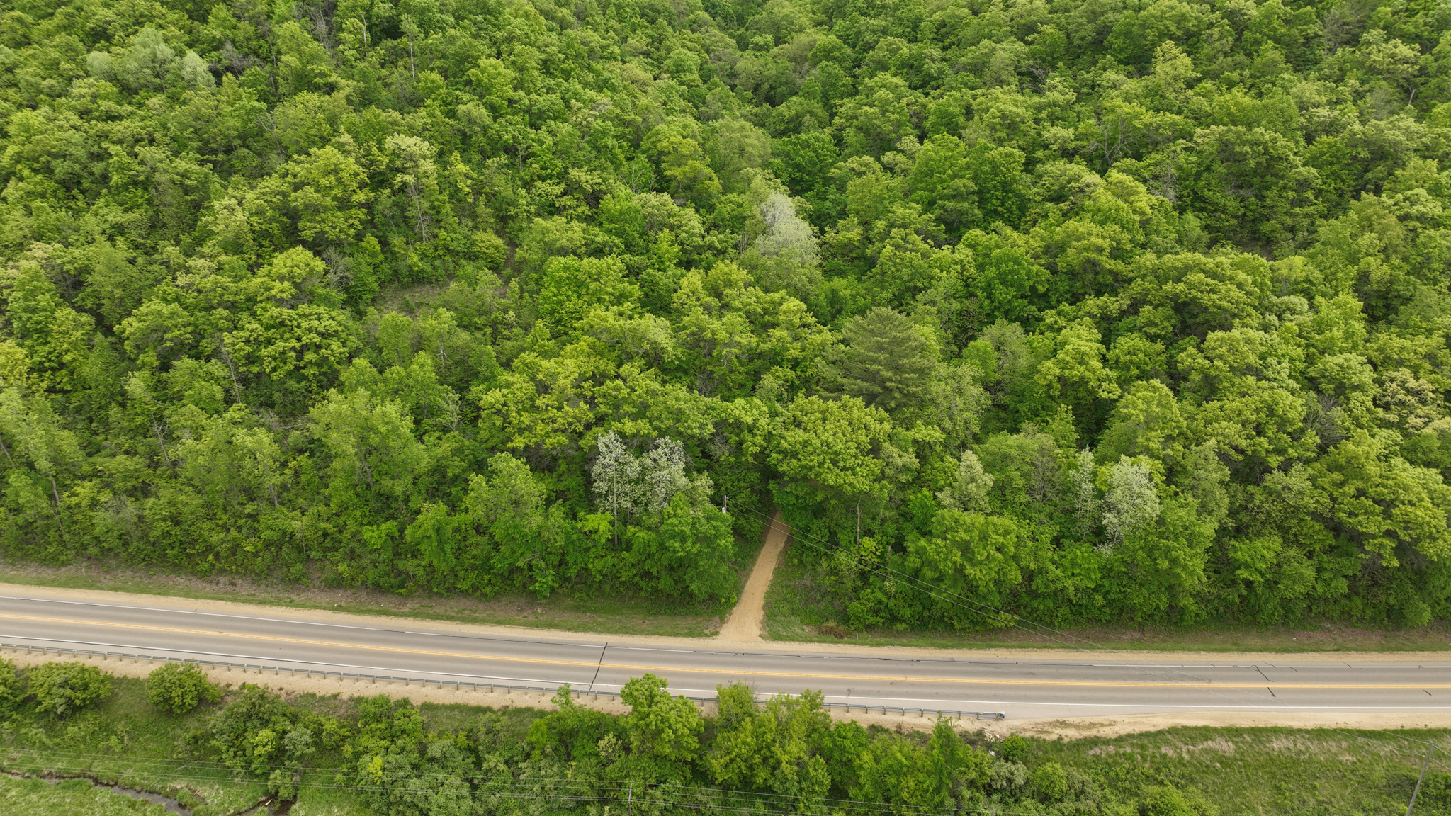 Rustic Cabin in the Woods for Sale in Vernon County, Wisconsin
