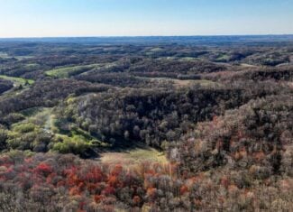 66+/- Acre Buildable Recreational Retreat – Mindoro, WI | La Crosse County