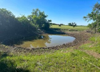 51.01 Acres for Sale in Gatesville, TX – Gated Entrance, Pond, and Stunning Views