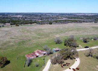 Serene 40 Acres in Central Texas