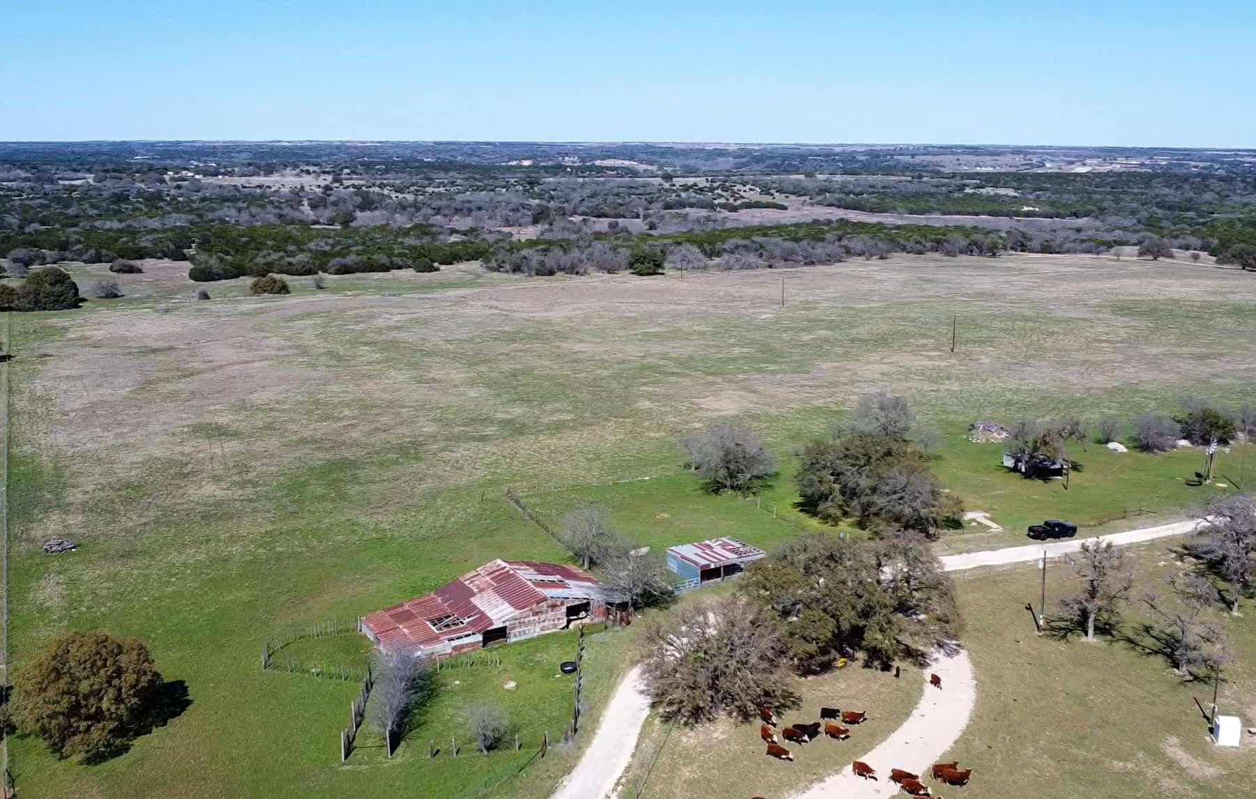 Serene 40 Acres in Central Texas