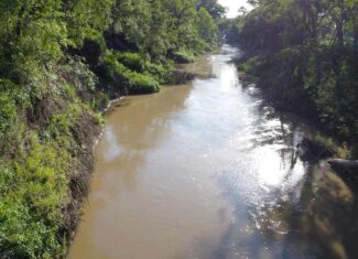 32-Acre Live Water Property with Leon River Frontage in Gatesville, TX