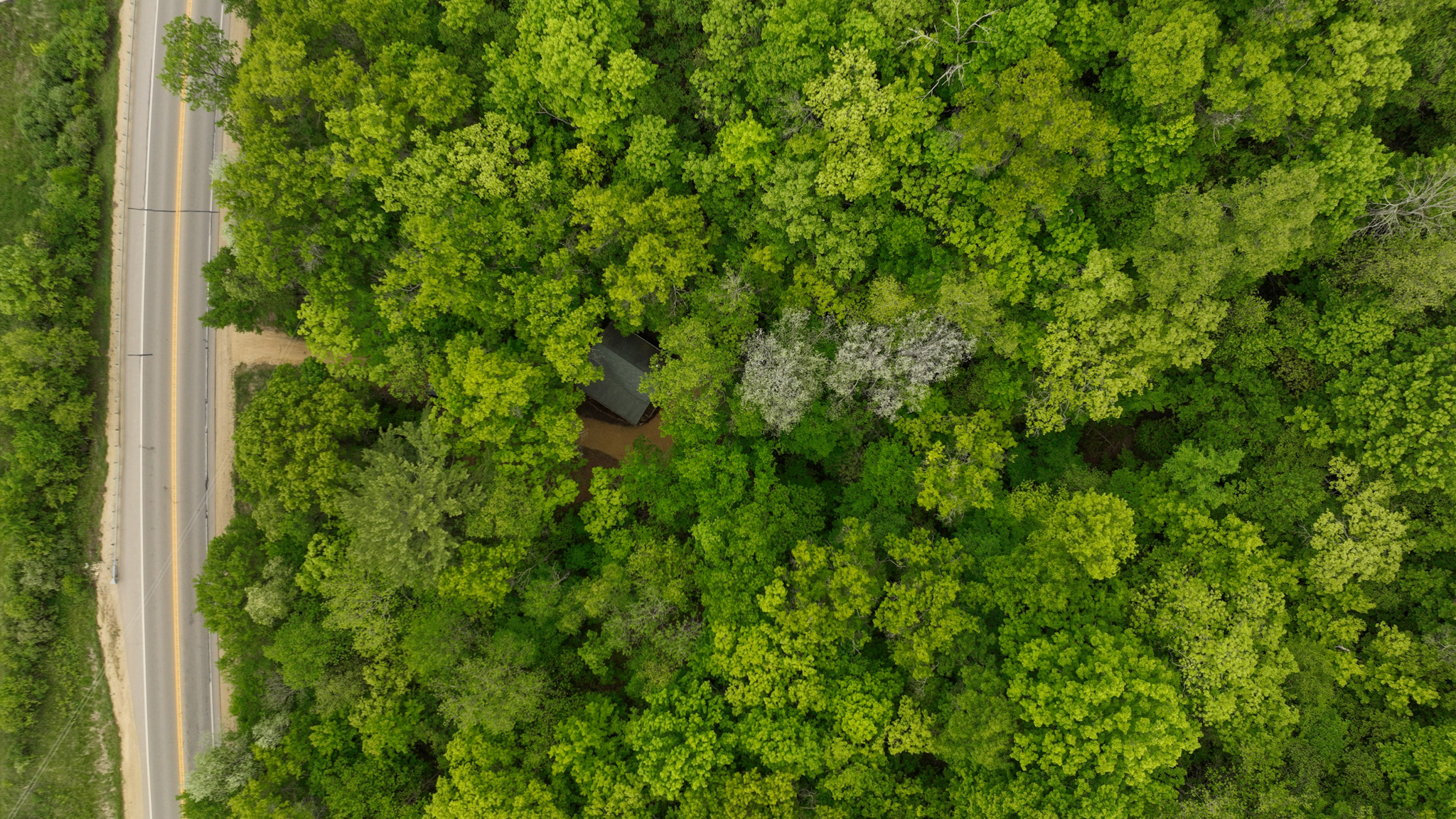 Rustic Cabin in the Woods for Sale in Vernon County, Wisconsin